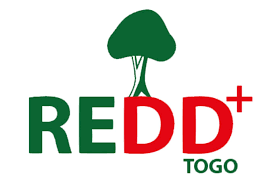 REDD+
